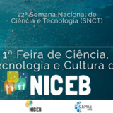 1a Feira NICEB capa