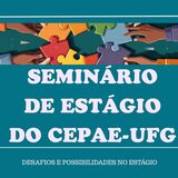 IV SEMINÁRIO DE ESTÁGIO DO CEPAE (capa)