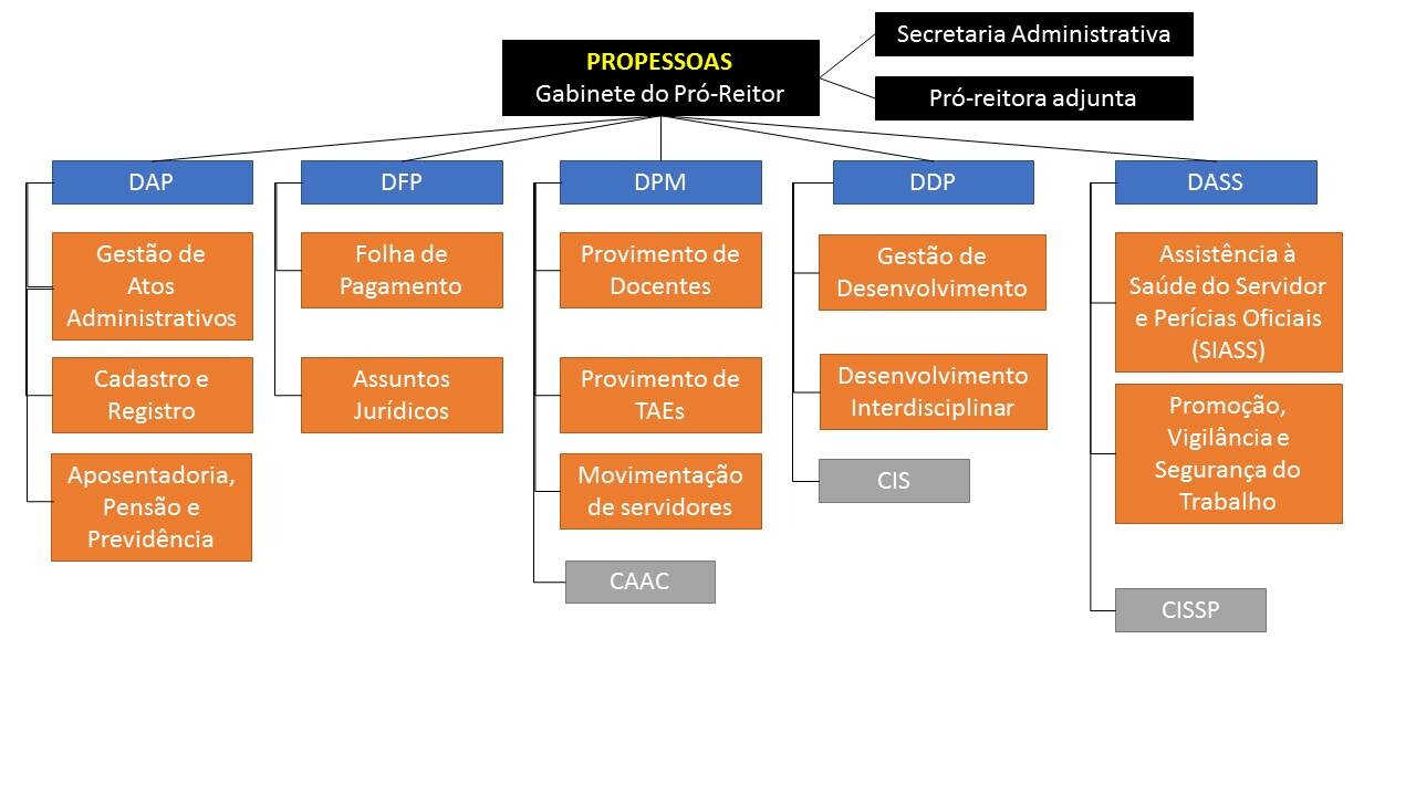 Propessoas estrutura