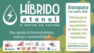 hibrido 2