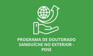 logo pdse