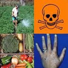 agrotoxico