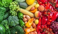 alimentos alimentos