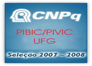 noticia4541.jpg