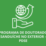 logo pdse