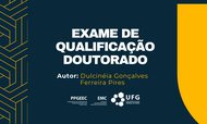 Qualificacao-doutorado-Dulcinéia Gonçalves Ferreira Pires