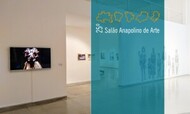 Programação virtual encerra atividades do 25º Salão Anapolino de Arte no Centro Cultural UFG.