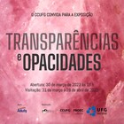 Transparências e Opacidades 01