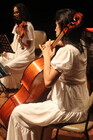 allegretto-setemrbo