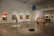 2ª Salão Nacional de Arte Contemporânea de Goiás 
