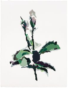 Eu Vou Cuidar do Seu Jardim