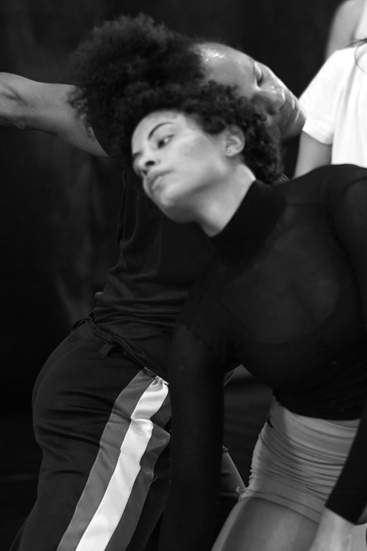 a morte da galinha caipira