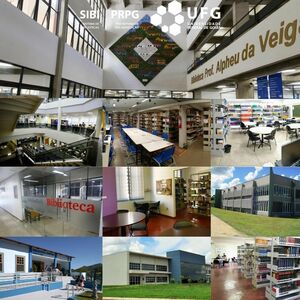 Mosaico com as fotos do Sibi