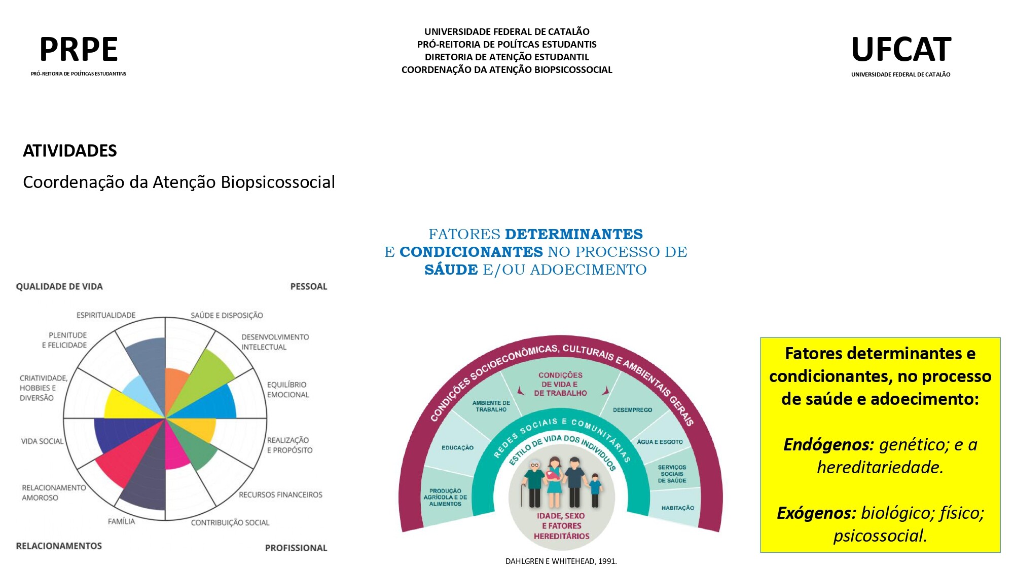 AÇÕES DA COORDENAÇÃO BIOPSICOSSOCIAL-2020_page-0004