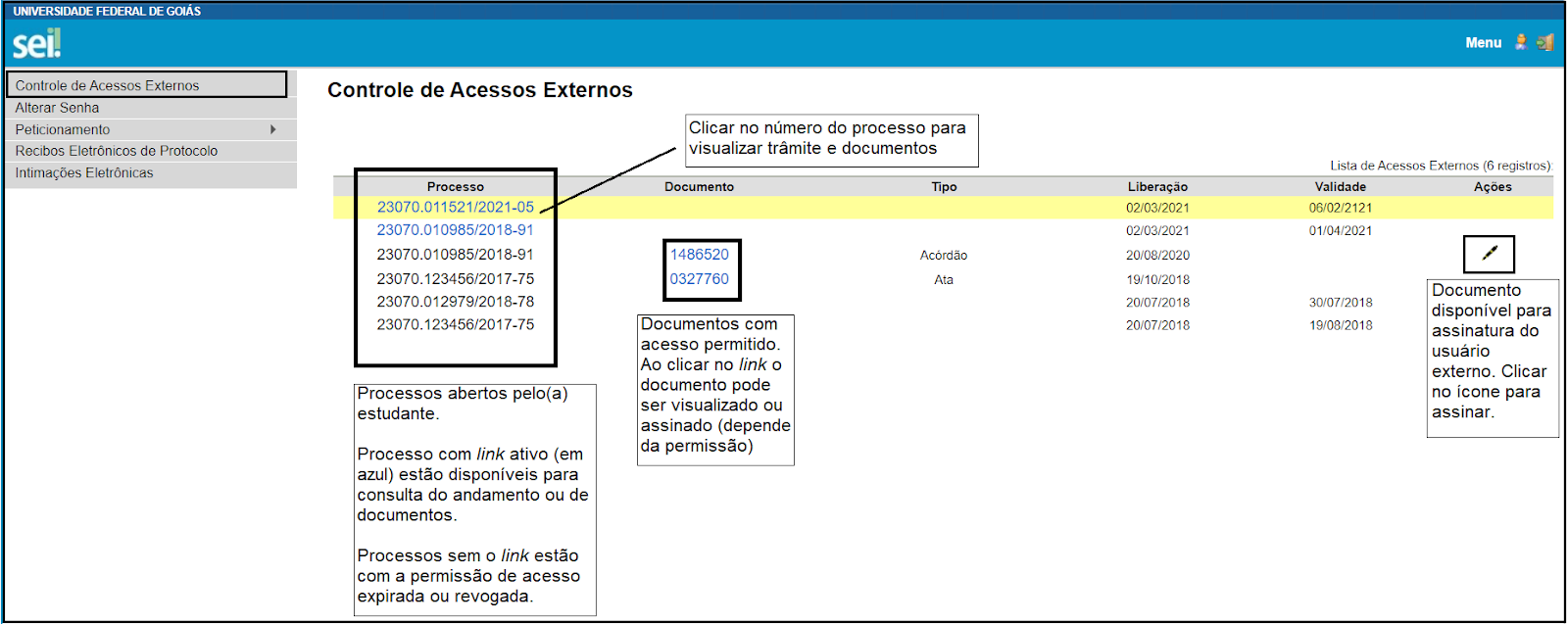 processo novo 10