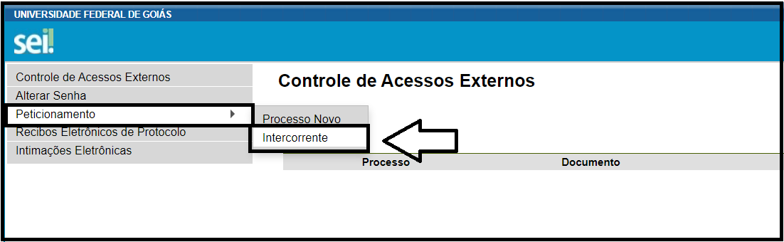 Processo intercorrente - 2ª maneira 15