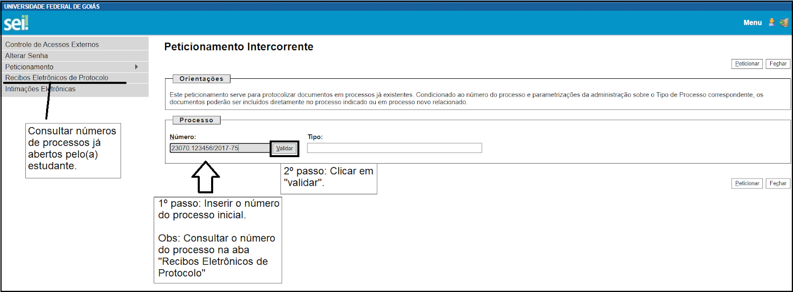 Processo intercorrente - 2ª maneira 16