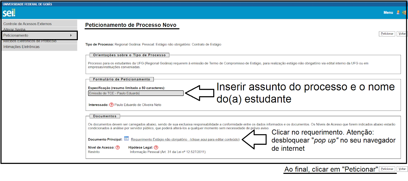 processo novo 6
