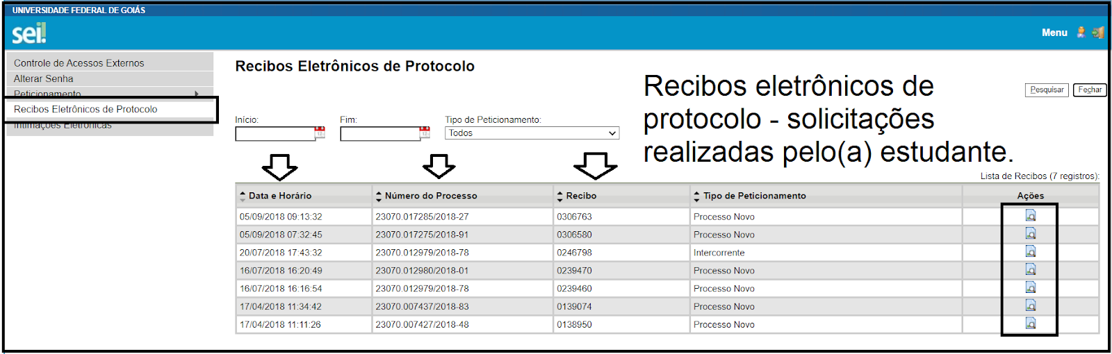 processo novo 9