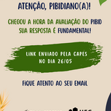 pibid