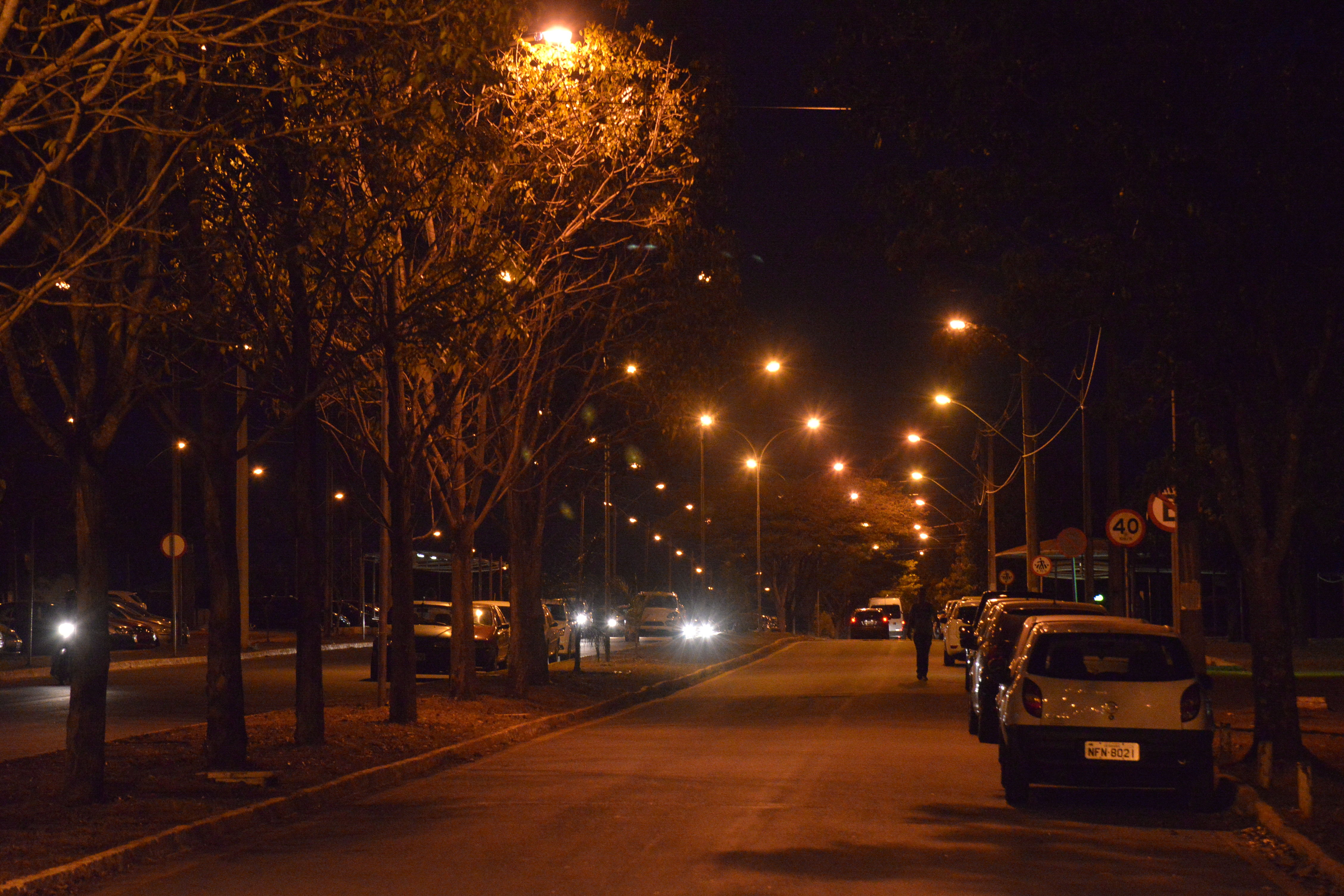 iluminação Samambaia