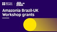 Brazil-UK research workshops grants
