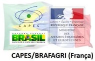LOGO CAPES BRAFAGRI 2020 LOGO CAPES BRAFAGRI 2020