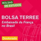 bolsa terree 2024 chamada