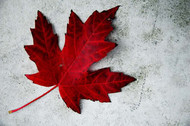canada