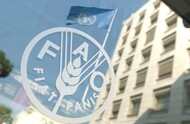 fao logo 2