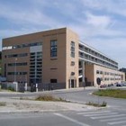 noticia1259770533.jpg