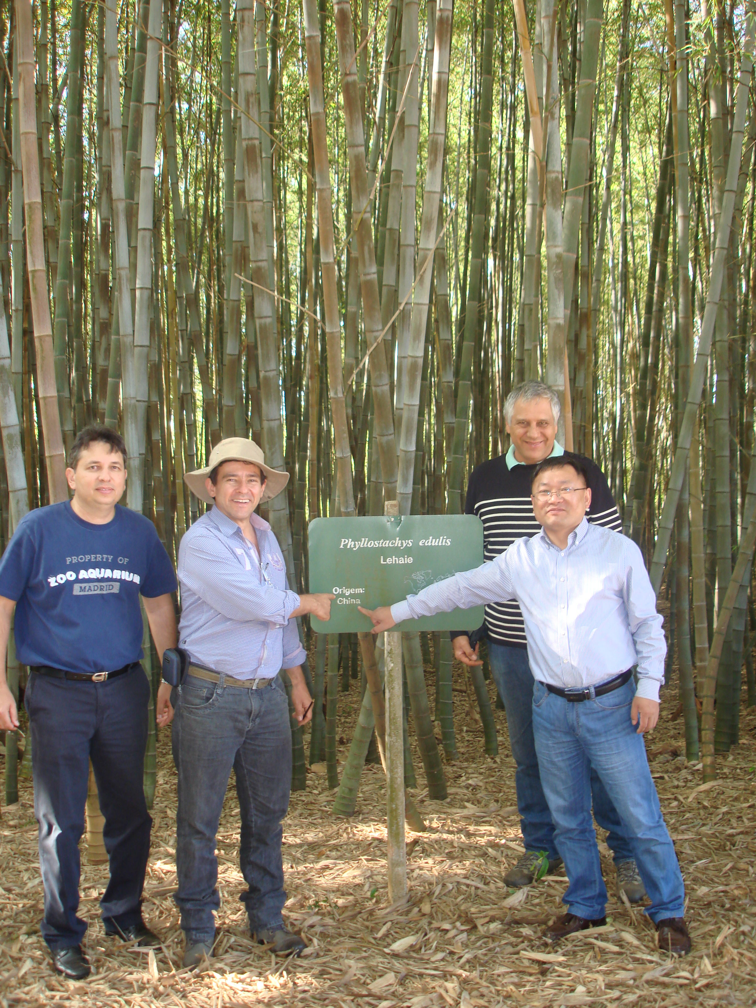 Noticia reunião com professores chineses