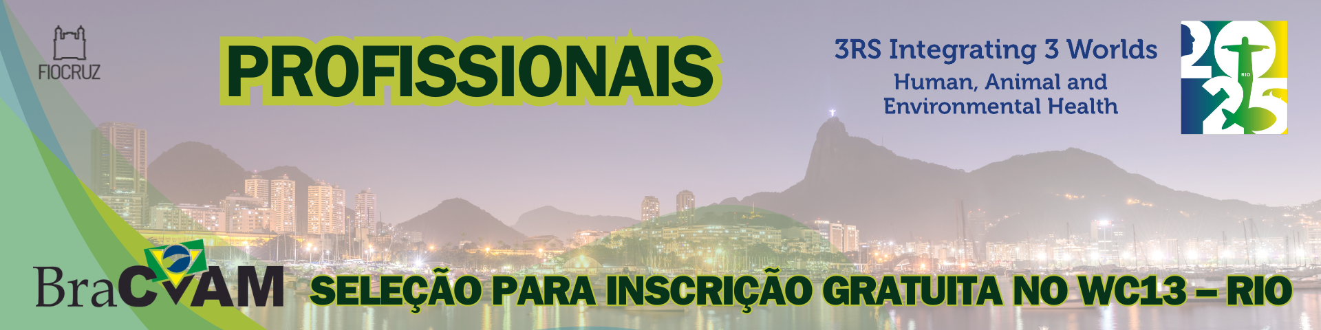 elecao-profissionais-para-Inscricao-Gratuita-no-WC13-–-Rio-de-Janeiro-Cabecalho-para-Google-Classro