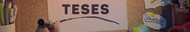 Teses