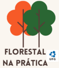 Florestal na prática