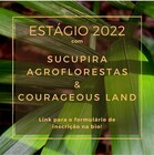 estágio sucupira