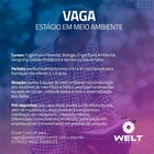 estágio