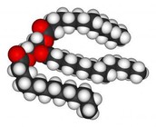 carboidrato