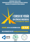 Curso de Verão 2017