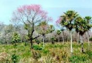noticia1312507311_ORIG.jpg