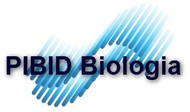 pibidbiologia