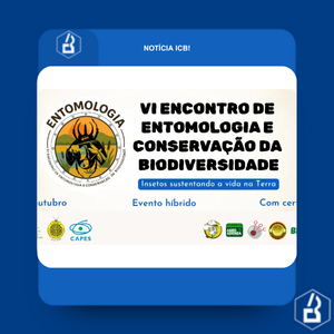 VI EECB: inscrições abertas