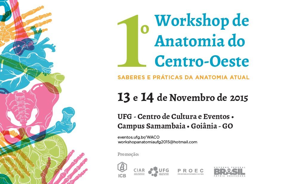 BANNER WORKSHOP ANATOM.