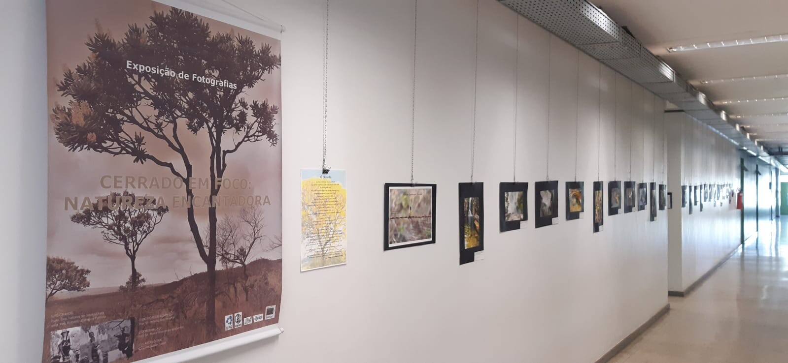 galeria exposição cerrado